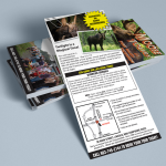 Pemi Valley Moose Tours Rack Card